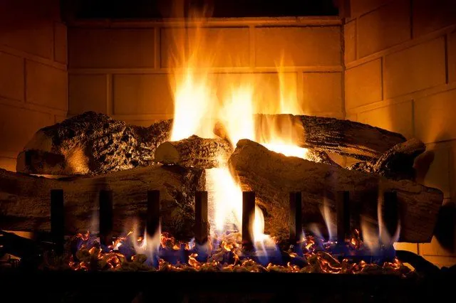Gas Log Sets service